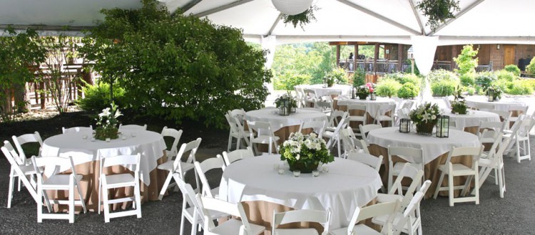 Witt Rental Norwalk Oh Tent Table Chairs For Weddings And More