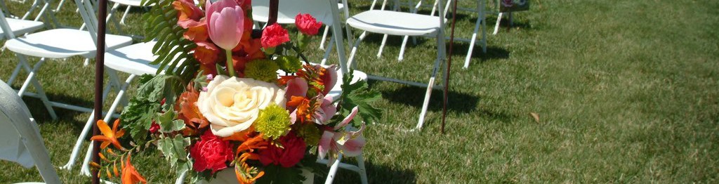 White Wedding Chairs